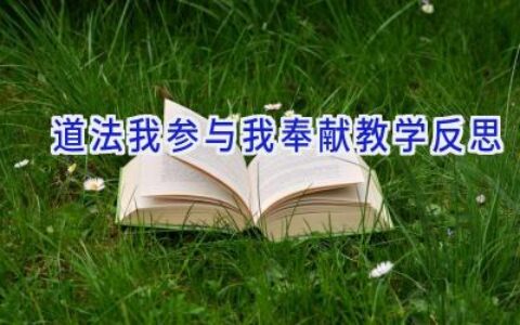 道法我参与我奉献教学反思