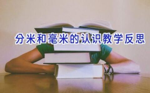 分米和毫米的认识教学反思