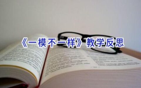《一模不一样》教学反思