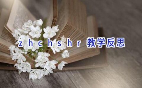 zh ch sh r 教学反思