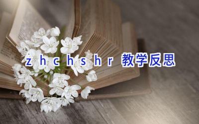 zh ch sh r 教学反思