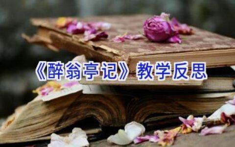 《醉翁亭记》教学反思