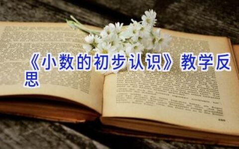 《小数的初步认识》教学反思