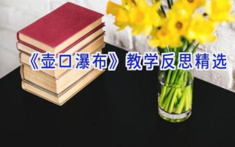 《壶口瀑布》教学反思精选