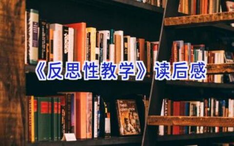 《反思性教学》读后感