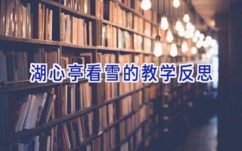 湖心亭看雪的教学反思
