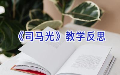 《司马光》教学反思