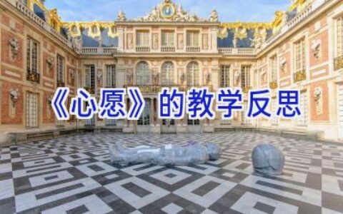 《心愿》的教学反思
