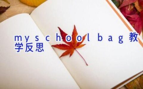 my schoolbag教学反思