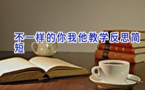 不一样的你我他教学反思简短