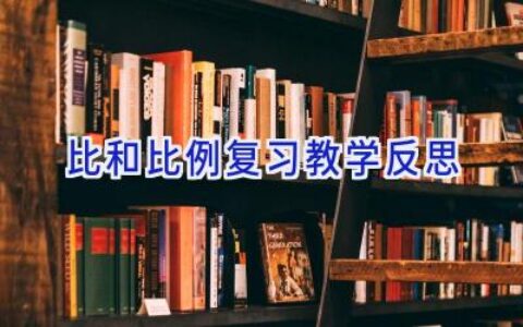 比和比例复习教学反思