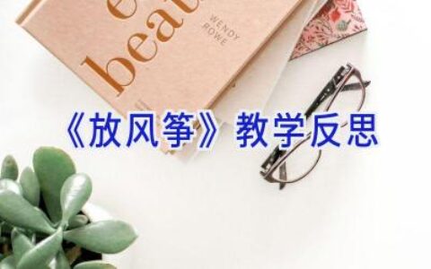 《放风筝》教学反思