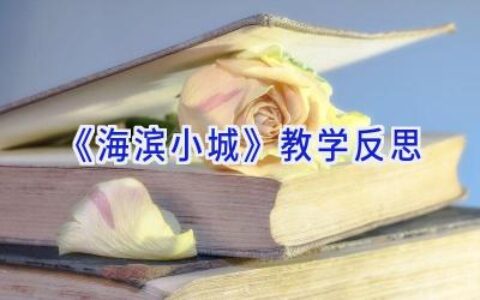 《海滨小城》教学反思