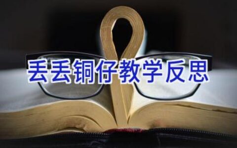 丢丢铜仔教学反思