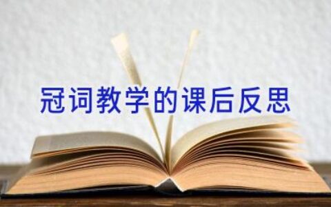 冠词教学的课后反思