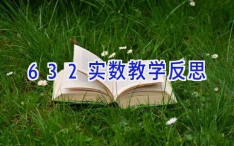 6.3.2实数教学反思