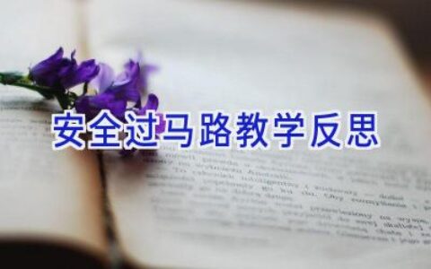 安全过马路教学反思