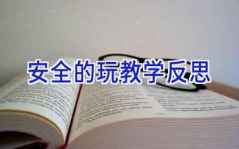 安全的玩教学反思