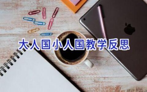 大人国小人国教学反思