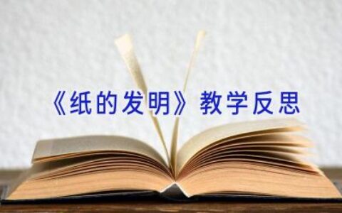 《纸的发明》教学反思