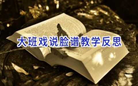 大班戏说脸谱教学反思