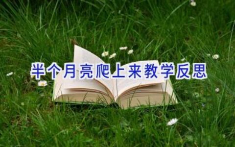 半个月亮爬上来教学反思