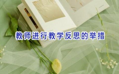 教师进行教学反思的举措