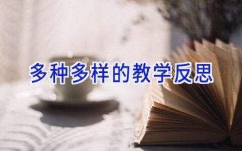 多种多样的教学反思