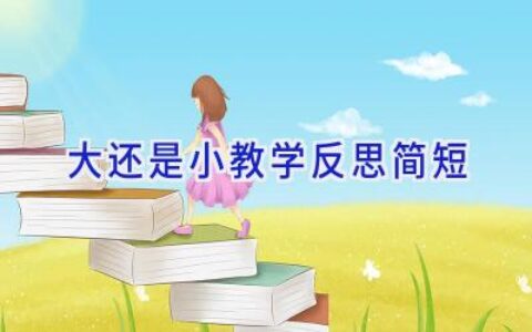 大还是小教学反思简短