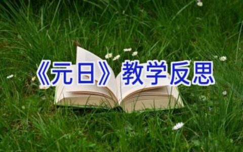 《元日》教学反思