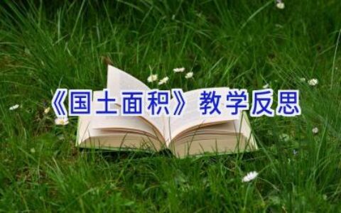 《国土面积》教学反思