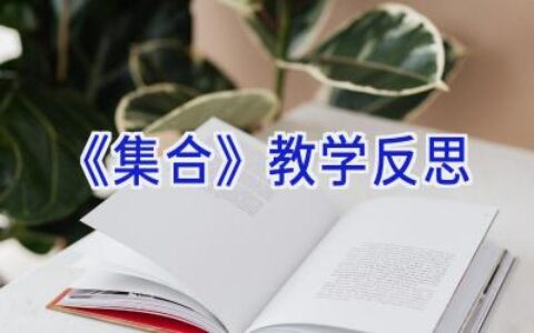 《集合》教学反思