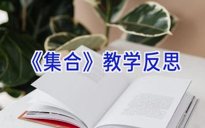 《集合》教学反思