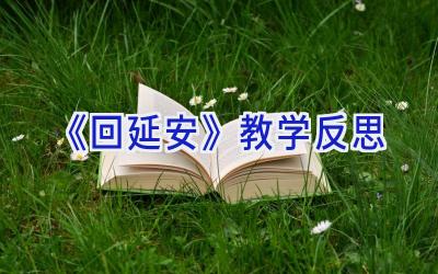 《回延安》教学反思