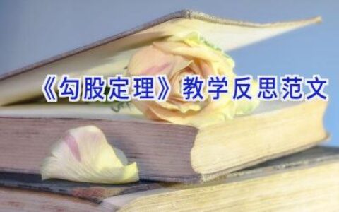 《勾股定理》教学反思范文