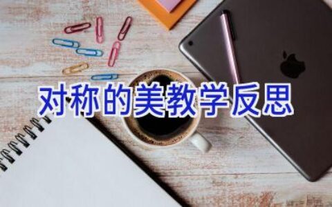 对称的美教学反思