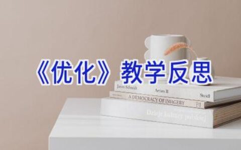 《优化》教学反思