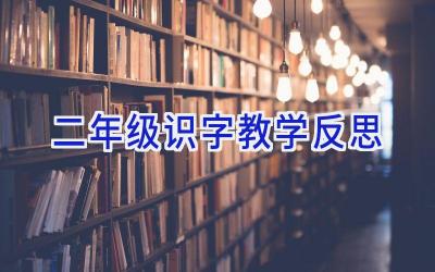 二年级识字教学反思