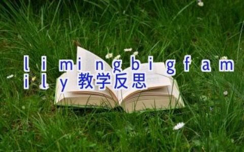 limingbigfamily教学反思