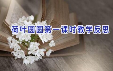 荷叶圆圆第一课时教学反思