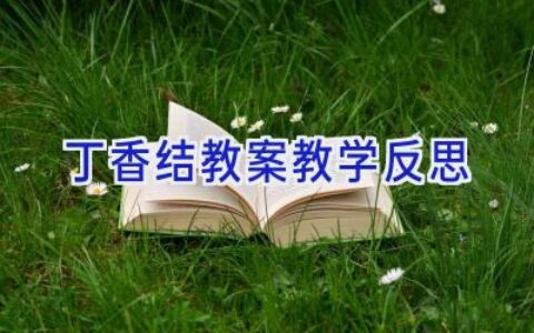 丁香结教案教学反思