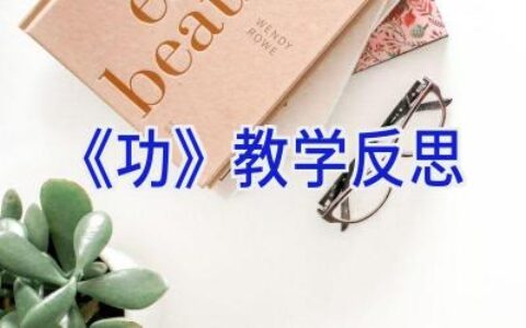 《功》教学反思