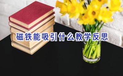 磁铁能吸引什么教学反思