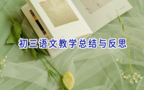 初三语文教学总结与反思