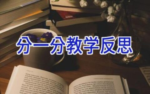 分一分教学反思