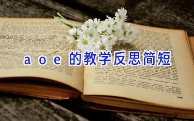 aoe的教学反思简短