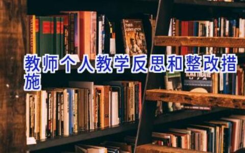 教师个人教学反思和整改措施