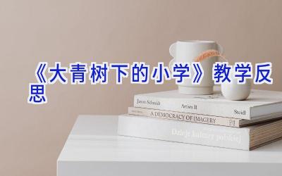 《大青树下的小学》教学反思