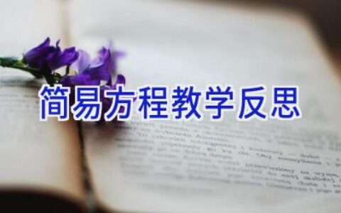 简易方程教学反思