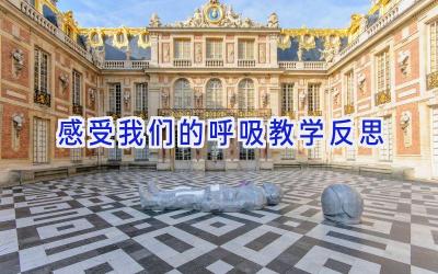 感受我们的呼吸教学反思